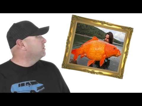 gint koi