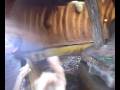 videos de Disneyland - Splashmountain