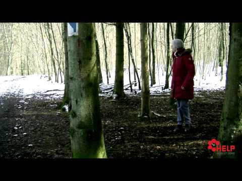 Image de prévisualisation YouTube