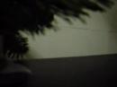 noche vieja 2006/2007