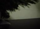 noche vieja 2006/2007