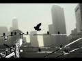 BIRD FLuEW