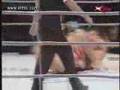 Super Korean fighters at their best! Mixed Martial Arts