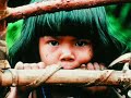 Save Our Rainforests - Równikowe Lasy Deszczowe Save Our Rainforests - Równikowe Lasy Deszczowe