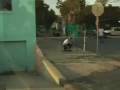 videos de sean malto