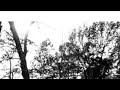 Daykeeper- Phonte Feat. Muhsinah