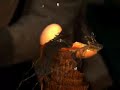 Katana slow motion egg slice Katana slow motion egg slice