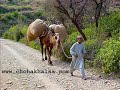 Baikarabaad & Sakrana villages