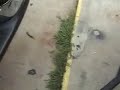 travel-trailer-hitch-hook-up.html