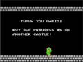 Super Mario Bros. Super Bloopers, Episode Two