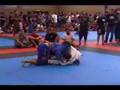 Clement Shields vs. Nate Diaz /  Brazilian jui jitsu MMA