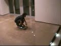 skating bad day in bahrain  (zeyad) waez