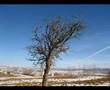 Kaz�m Koyuncu   Bu Hayat   Seyduna T�rk�leri