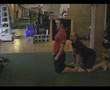 glute ham raise