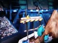 Click here to watch this video Super Smash Bros. Brawl Lucario vs Pokemon Trainer