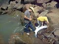 Piraiba sete quedas