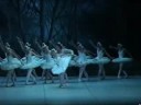 Anette Delgado - Swan Lake - Adagio