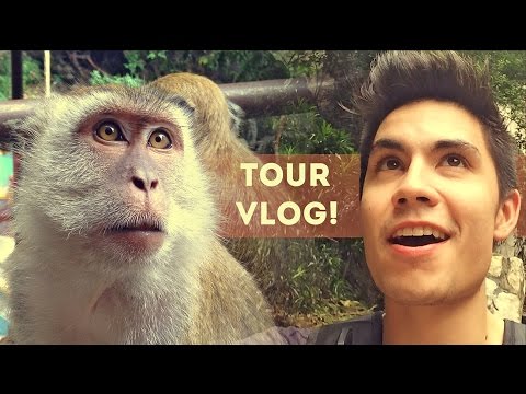TOUR VLOG Ep.1: Monkey Business