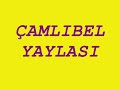 yusufeli-aml-bel2