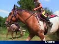 Promenades à cheval au coeur de la Sarthe