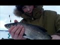 Whitefish and Perch- Ice Fishing 2013