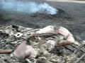 Grayling Fire Burnt Sleds Grayling Fire Burnt Sleds