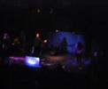 DIGITALIS PURPUREA _ religious mercy (live)