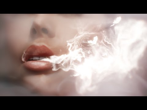 Vidéo 1