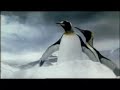 Guinness Penguins TVC (Full version) - Aired in SG