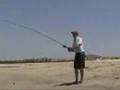 Jack Crevalle on a Fly