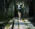 Patus em passeio dominical Patus em passeio dominical