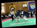 Nippon  Kempo