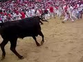 Bull running around catching people - Pamplona S. Fermin Arena Run Bulls Encierro 2008 Ricardo Gomez