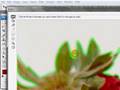 Learn Photoshop: Extract a background