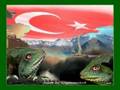 MUHAMMED DEMİRKAYNAK [TR-FR RAP] SİVAS ALTINYAYLA