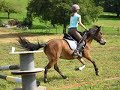 Moi & Nisou Parcours de saut