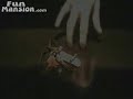 Fingerboarder