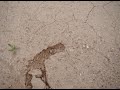 Ceramic animation by Sam3/2010, earth poem filmed in Murcia's outskirts