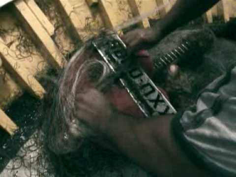 Imagem de Amostra do You Tube