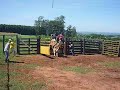 treino cia de rodeio 3c arapongas pr