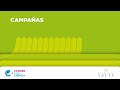 Campaña Firmá contra el Cáncer