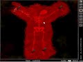 HD Torture Game 3 Skeleton 1080p