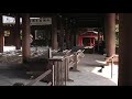 外拝殿からの風景