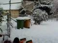videos de montagevidéo1neige