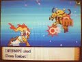 Pokemon Diamond WiFi Battle: Kawalski vs. Thorn [Round 2]