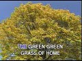 Tom Jones - Green Green Grass Of Home (Vocal Karaoke)