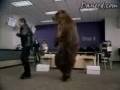 videos de COMMERCIALS (955)