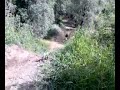 Salto kxf 250
