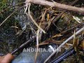 Supervivencia al aire libre: buscando agua