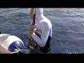 videos de Fifty Fathoms Underwater   Movies   Blancpain - Blancpain.flv